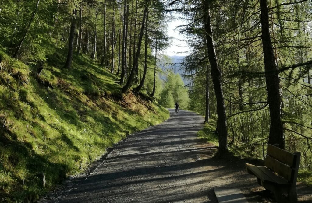 verified carbon offsets